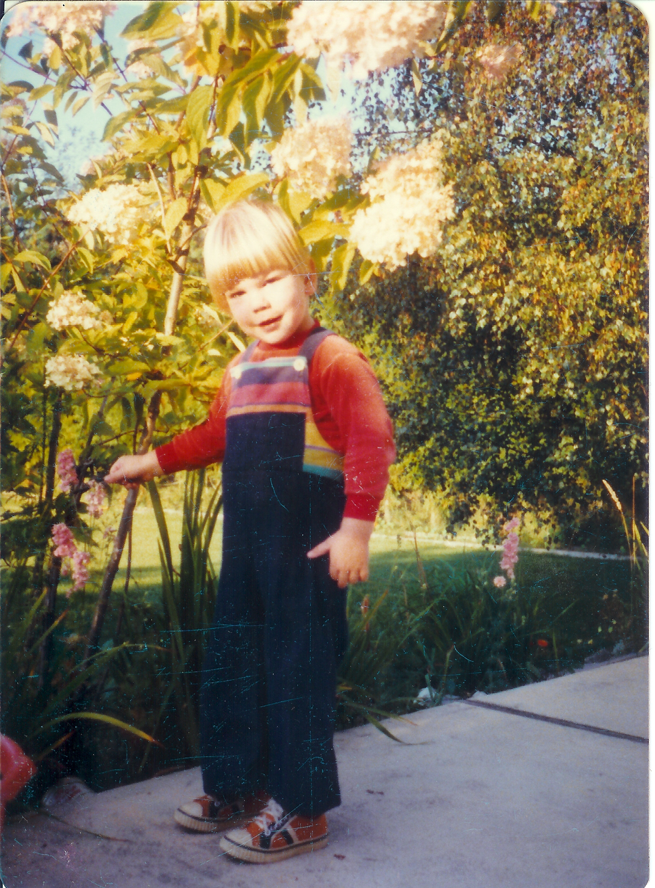 Paul_Flowers_North_Seattle.jpg