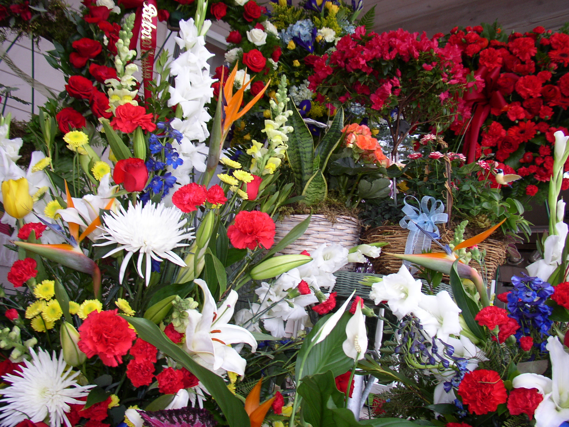 flowers6.jpg